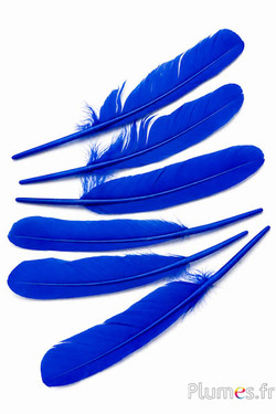 Cygne - 30-33 cm - bleu